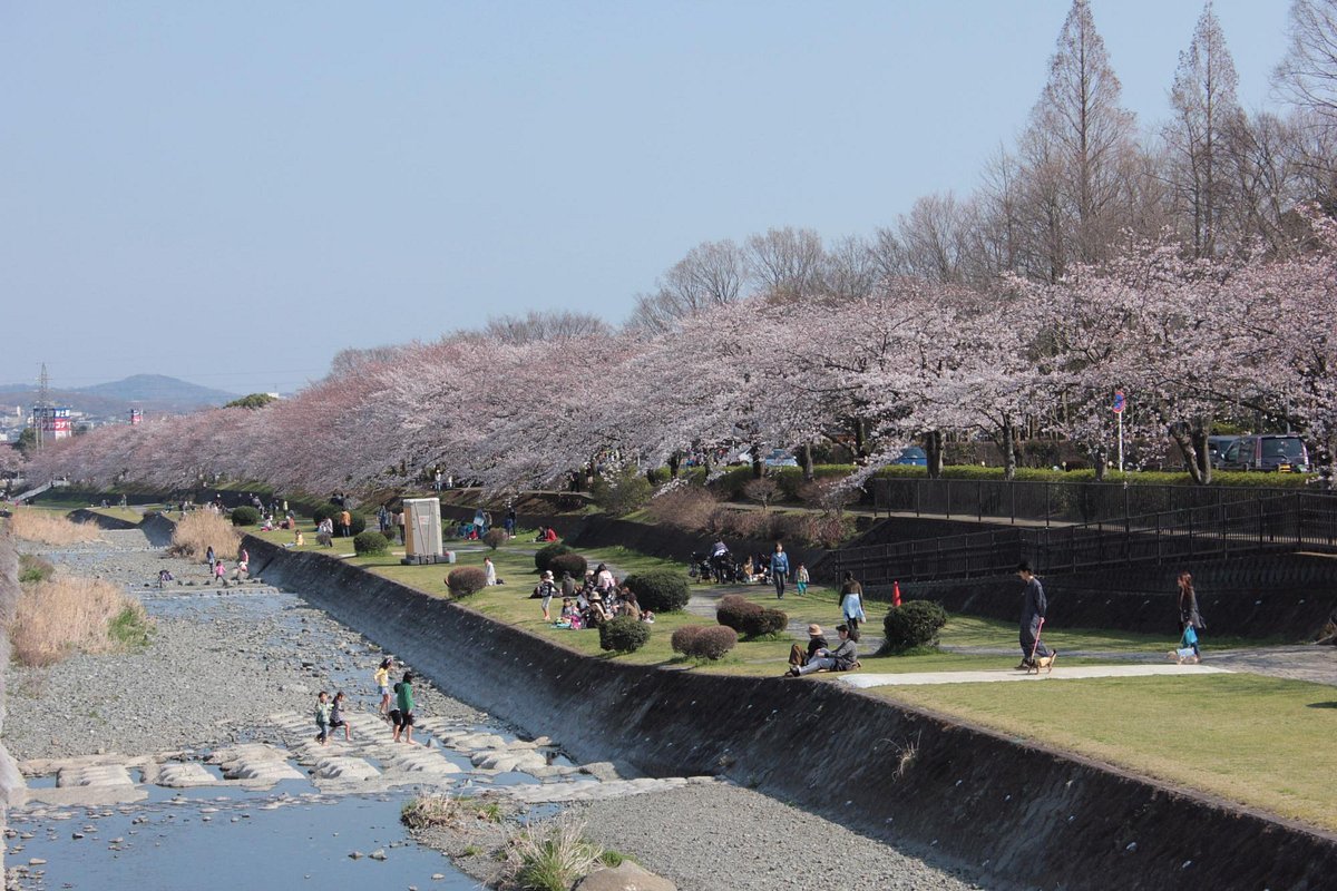 🏞️ 가나가와 현립 하다노토가와 공원 (카나가와켄리츠 하다노 토가와 코엔) 이미지 8